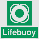lifebuoy-with-symbol~